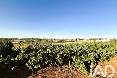 Land plot for sale in Chiclana de la Frontera, Cadiz, Spain 3928 sq.m. No. 193476 - photo 9