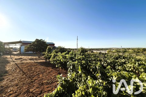 Land plot for sale in Chiclana de la Frontera, Cadiz, Spain 3928 sq.m. No. 193476 - photo 10