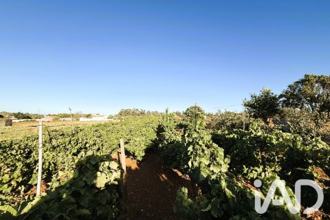 Land plot for sale in Chiclana de la Frontera, Cadiz, Spain 3928 sq.m. No. 193476 - photo 8