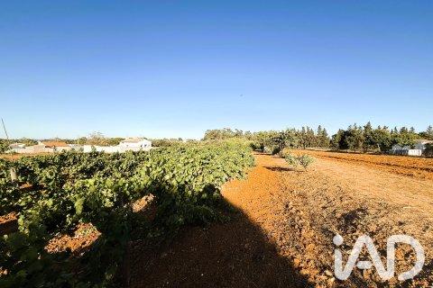 Land plot for sale in Chiclana de la Frontera, Cadiz, Spain 3928 sq.m. No. 193476 - photo 12