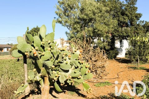 Land plot for sale in Chiclana de la Frontera, Cadiz, Spain 3928 sq.m. No. 193476 - photo 3