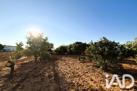 Land plot for sale in Chiclana de la Frontera, Cadiz, Spain 3928 sq.m. No. 193476 - photo 13
