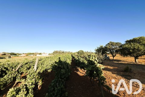 Land plot for sale in Chiclana de la Frontera, Cadiz, Spain 3928 sq.m. No. 193476 - photo 7