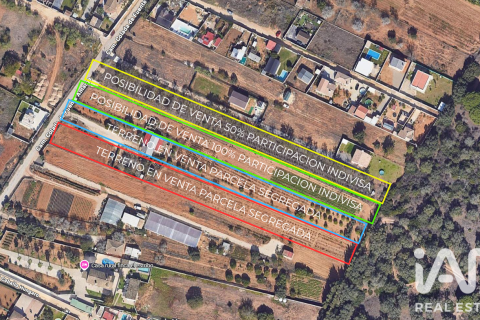 Land plot for sale in Chiclana de la Frontera, Cadiz, Spain 3928 sq.m. No. 193476 - photo 18
