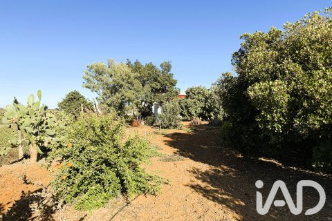 Land plot in Chiclana de la Frontera, Cadiz, Spain 3928 sq.m. No. 193476