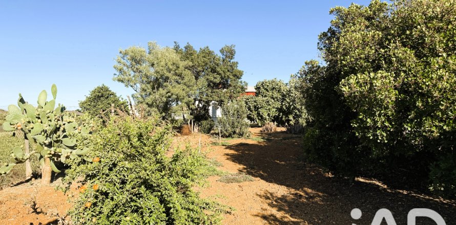 Land plot in Chiclana de la Frontera, Cadiz, Spain 3928 sq.m. No. 193476