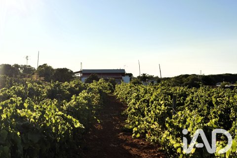 Land plot for sale in Chiclana de la Frontera, Cadiz, Spain 3928 sq.m. No. 193476 - photo 15