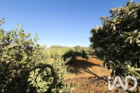 Land plot for sale in Chiclana de la Frontera, Cadiz, Spain 3928 sq.m. No. 193476 - photo 6