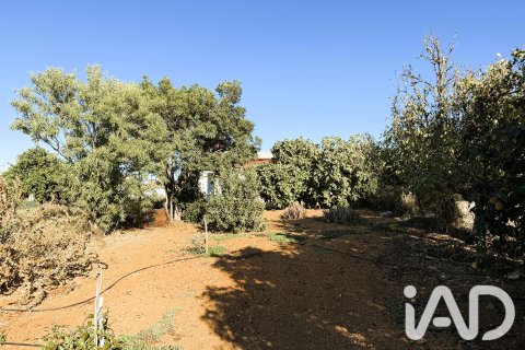 Land plot for sale in Chiclana de la Frontera, Cadiz, Spain 3928 sq.m. No. 193476 - photo 2