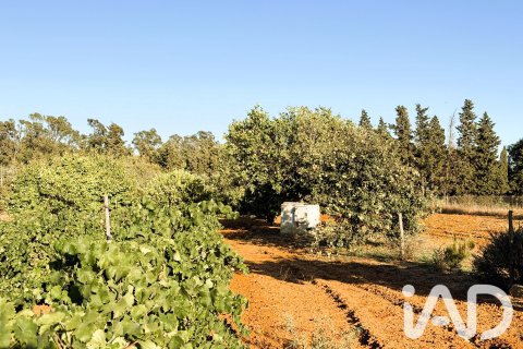 Land plot for sale in Chiclana de la Frontera, Cadiz, Spain 3928 sq.m. No. 193476 - photo 16