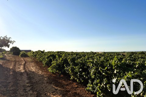 Land plot for sale in Chiclana de la Frontera, Cadiz, Spain 3928 sq.m. No. 193476 - photo 14