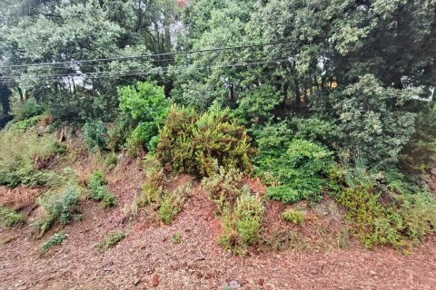 Terreno in vendita a Castellar Del Valles, Barcelona, Spagna N° 191214 - foto 11