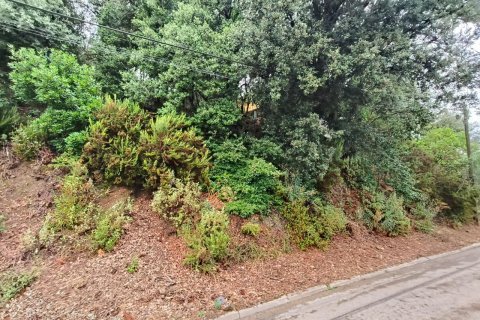 Terreno in vendita a Castellar Del Valles, Barcelona, Spagna N° 191214 - foto 3