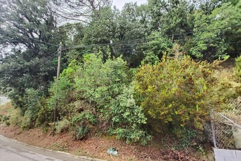 Terreno in vendita a Castellar Del Valles, Barcelona, Spagna N° 191214 - foto 9
