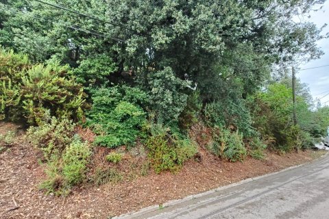 Terreno a Castellar Del Valles, Barcelona, Spagna N° 191214