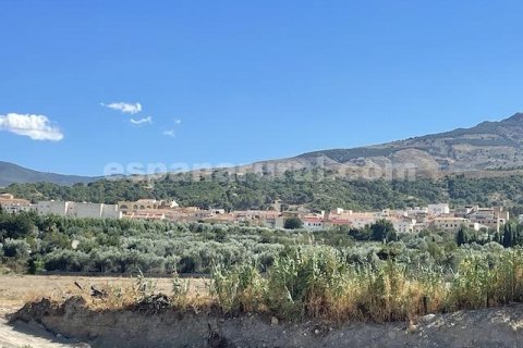 House zum Verkauf in Tijola, Almeria, Spanien 2 Schlafzimmer, 703 m2 Nr. 184171 - Foto 22
