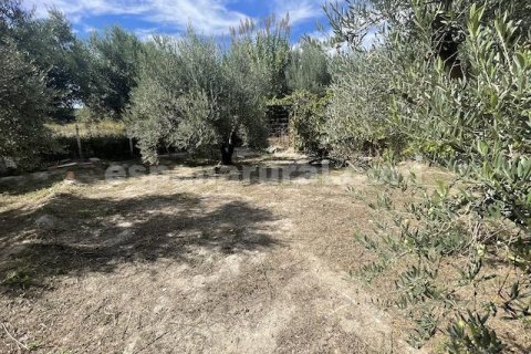 House zum Verkauf in Tijola, Almeria, Spanien 2 Schlafzimmer, 703 m2 Nr. 184171 - Foto 20