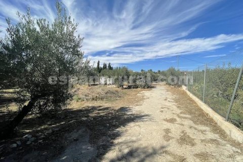 House zum Verkauf in Tijola, Almeria, Spanien 2 Schlafzimmer, 703 m2 Nr. 184171 - Foto 12