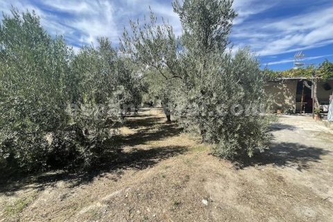 House zum Verkauf in Tijola, Almeria, Spanien 2 Schlafzimmer, 703 m2 Nr. 184171 - Foto 14