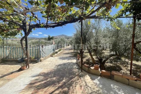 House zum Verkauf in Tijola, Almeria, Spanien 2 Schlafzimmer, 703 m2 Nr. 184171 - Foto 7