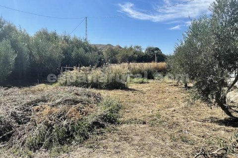 House zum Verkauf in Tijola, Almeria, Spanien 2 Schlafzimmer, 703 m2 Nr. 184171 - Foto 19