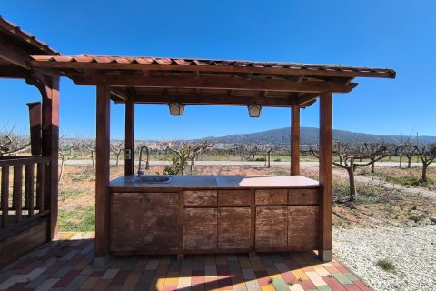 Villa in vendita a Pinoso, Alicante, Spagna 4 camere da letto,  N° 161076 - foto 4