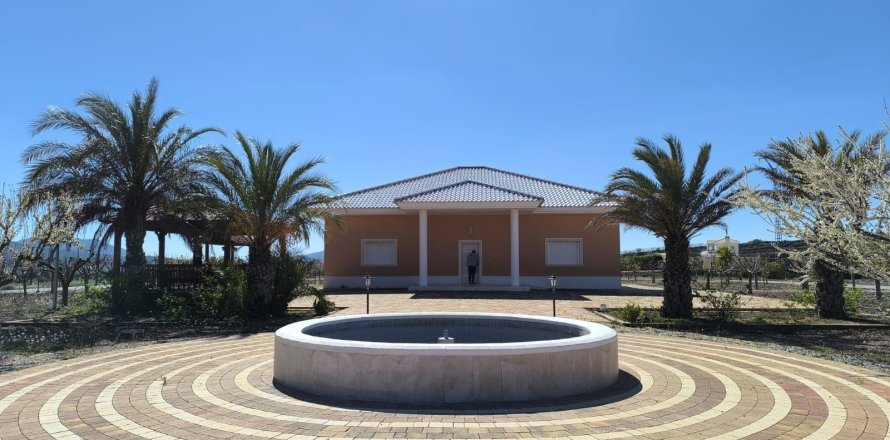 Villa a Pinoso, Alicante, Spagna 4 camere da letto,  N° 161076