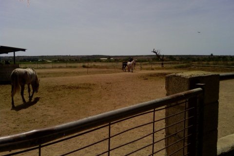 Commercial property for sale in Elche, Alicante, Spain 3 bedrooms, 705 sq.m. No. 164990 - photo 12