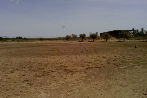 Commercial property for sale in Elche, Alicante, Spain 3 bedrooms, 705 sq.m. No. 164990 - photo 23