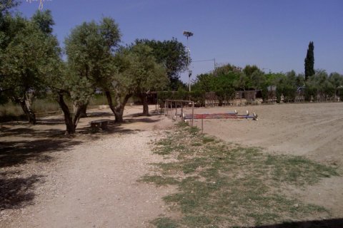 Commercial property for sale in Elche, Alicante, Spain 3 bedrooms, 705 sq.m. No. 164990 - photo 17