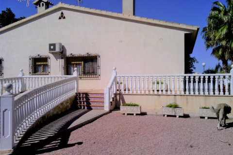 Commercial property for sale in Elche, Alicante, Spain 3 bedrooms, 705 sq.m. No. 164990 - photo 29