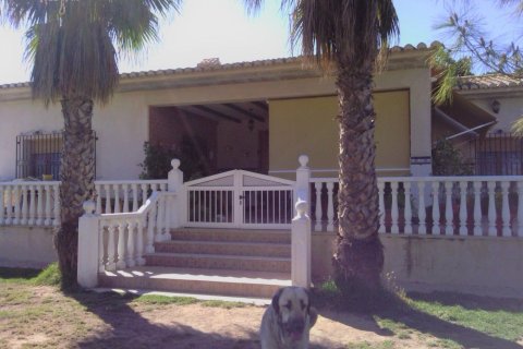 Commercial property for sale in Elche, Alicante, Spain 3 bedrooms, 705 sq.m. No. 164990 - photo 4