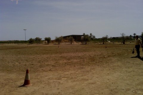 Commercial property for sale in Elche, Alicante, Spain 3 bedrooms, 705 sq.m. No. 164990 - photo 21