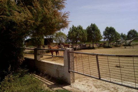 Commercial property for sale in Elche, Alicante, Spain 3 bedrooms, 705 sq.m. No. 164990 - photo 9