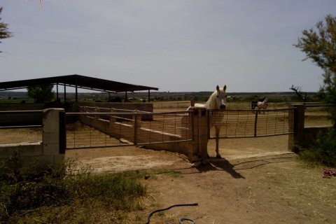 Commercial property in Elche, Alicante, Spain 3 bedrooms, 705 sq.m. No. 164990