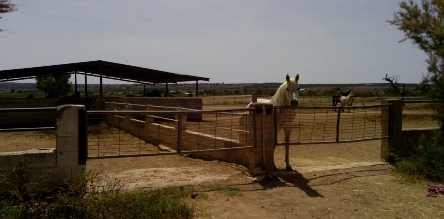 Commercial property in Elche, Alicante, Spain 3 bedrooms, 705 sq.m. No. 164990