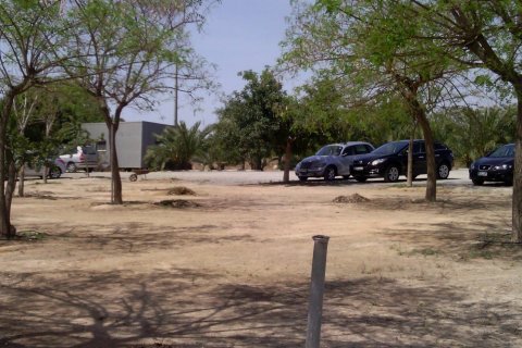 Commercial property for sale in Elche, Alicante, Spain 3 bedrooms, 705 sq.m. No. 164990 - photo 16