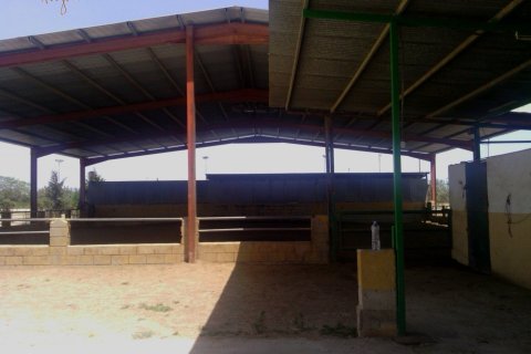 Commercial property for sale in Elche, Alicante, Spain 3 bedrooms, 705 sq.m. No. 164990 - photo 8