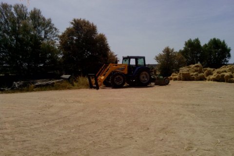 Commercial property for sale in Elche, Alicante, Spain 3 bedrooms, 705 sq.m. No. 164990 - photo 22