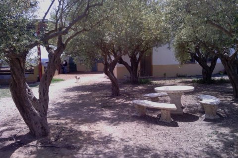 Commercial property for sale in Elche, Alicante, Spain 3 bedrooms, 705 sq.m. No. 164990 - photo 24