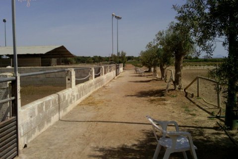 Commercial property for sale in Elche, Alicante, Spain 3 bedrooms, 705 sq.m. No. 164990 - photo 14