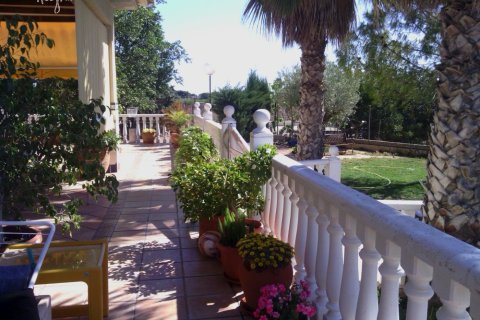 Commercial property for sale in Elche, Alicante, Spain 3 bedrooms, 705 sq.m. No. 164990 - photo 30