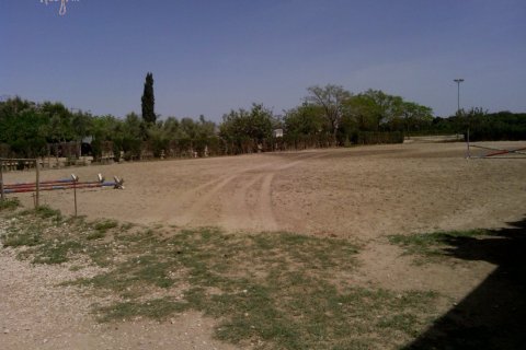 Commercial property for sale in Elche, Alicante, Spain 3 bedrooms, 705 sq.m. No. 164990 - photo 20