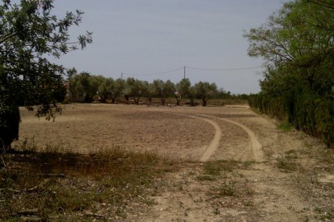 Commercial property for sale in Elche, Alicante, Spain 3 bedrooms, 705 sq.m. No. 164990 - photo 18