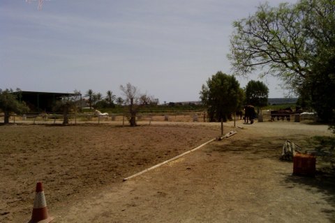 Commercial property for sale in Elche, Alicante, Spain 3 bedrooms, 705 sq.m. No. 164990 - photo 11