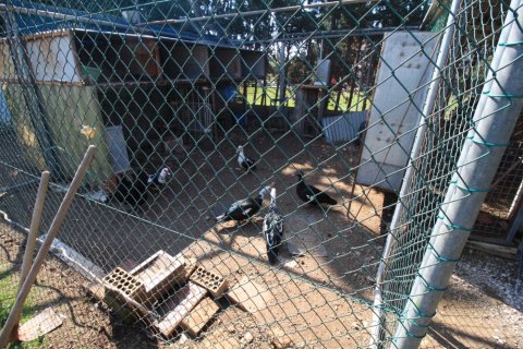 Apartment for sale in Campoamor, Alicante, Spain 2 bedrooms, 200 sq.m. No. 164991 - photo 16