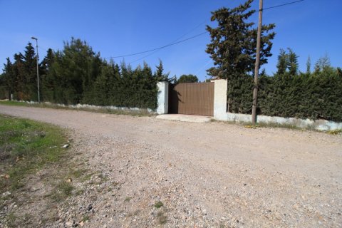 Apartment for sale in Campoamor, Alicante, Spain 2 bedrooms, 200 sq.m. No. 164991 - photo 2