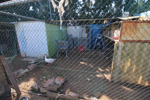 Apartment for sale in Campoamor, Alicante, Spain 2 bedrooms, 200 sq.m. No. 164991 - photo 17