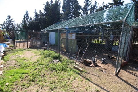 Apartment for sale in Campoamor, Alicante, Spain 2 bedrooms, 200 sq.m. No. 164991 - photo 15