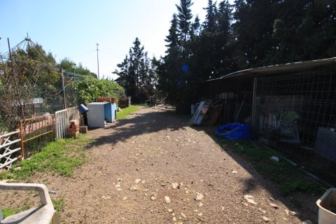 Apartment for sale in Campoamor, Alicante, Spain 2 bedrooms, 200 sq.m. No. 164991 - photo 19